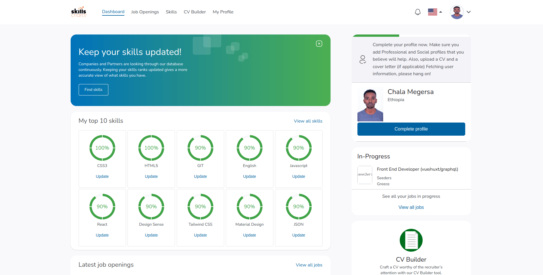 Professional Skills Charts